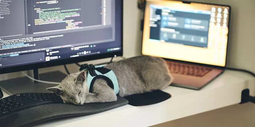 Hvad kan jeg tjene som kontorassistent?